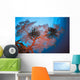 Palau, Sea Fans Feather Stars Wall Mural
