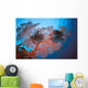 Palau, Sea Fans Feather Stars Wall Mural