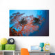 Palau, Sea Fans Feather Stars Wall Mural