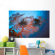 Palau, Sea Fans Feather Stars Wall Mural
