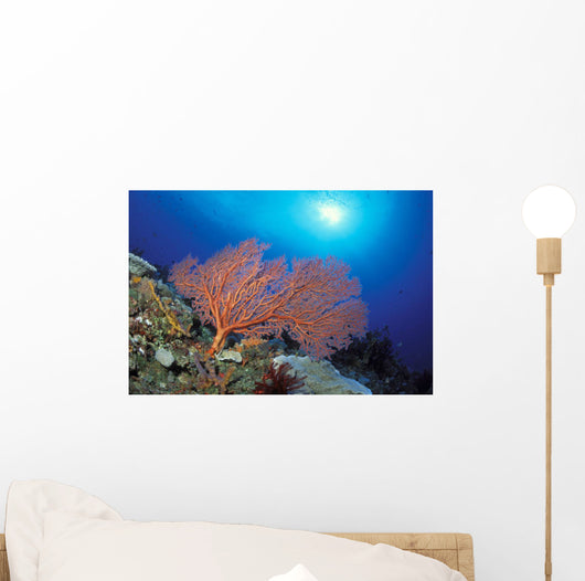 Papua New Guinea, Milne Bay, Orange Sea Fan With Sunburst Wall Mural