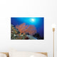 Papua New Guinea, Milne Bay, Orange Sea Fan With Sunburst Wall Mural
