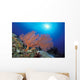 Papua New Guinea, Milne Bay, Orange Sea Fan With Sunburst Wall Mural