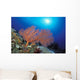 Papua New Guinea, Milne Bay, Orange Sea Fan With Sunburst Wall Mural