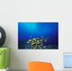 Schooling Raccoon Butterflyfish Near Reef Wall Mural
