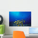 Schooling Raccoon Butterflyfish Near Reef Wall Mural