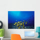 Schooling Raccoon Butterflyfish Near Reef Wall Mural