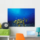 Schooling Raccoon Butterflyfish Near Reef Wall Mural