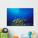 Schooling Raccoon Butterflyfish Near Reef Wall Mural