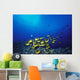 Schooling Raccoon Butterflyfish Near Reef Wall Mural