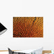 Australia, Coral Sea Fan, Close-Up Bright Orange And Yellow Branches Wall Mural