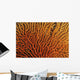 Australia, Coral Sea Fan, Close-Up Bright Orange And Yellow Branches Wall Mural