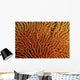 Australia, Coral Sea Fan, Close-Up Bright Orange And Yellow Branches Wall Mural
