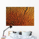 Australia, Coral Sea Fan, Close-Up Bright Orange And Yellow Branches Wall Mural