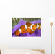 Malaysia, Western Clown Anemone Fish, Amphiprion Ocellaris Wall Mural