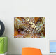 Two Coleman Shrimp Clear Section Of Fire Urchin Wall Mural