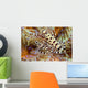 Two Coleman Shrimp Clear Section Of Fire Urchin Wall Mural