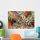 Two Coleman Shrimp Clear Section Of Fire Urchin Wall Mural