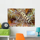 Two Coleman Shrimp Clear Section Of Fire Urchin Wall Mural
