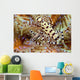 Two Coleman Shrimp Clear Section Of Fire Urchin Wall Mural