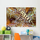 Two Coleman Shrimp Clear Section Of Fire Urchin Wall Mural