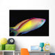 Malaysia, Mabul Island, This Male Peach Anthias, Pseudanthias Dispar Wall Mural
