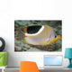 Malaysia, Saddleback Butterflyfish, Chaetodon Ephippium Wall Mural