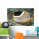 Malaysia, Saddleback Butterflyfish, Chaetodon Ephippium Wall Mural