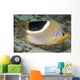 Malaysia, Saddleback Butterflyfish, Chaetodon Ephippium Wall Mural