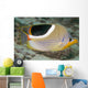 Malaysia, Saddleback Butterflyfish, Chaetodon Ephippium Wall Mural