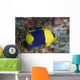Malaysia, The Bicolor Angelfish Wall Mural