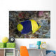 Malaysia, The Bicolor Angelfish Wall Mural