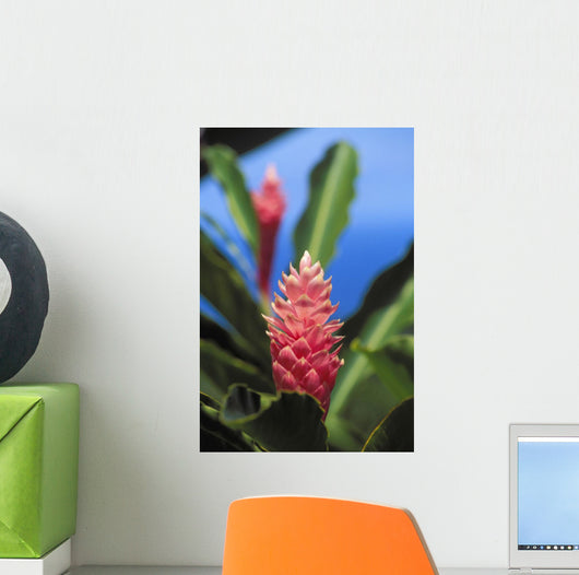 Pink Torch Ginger Flowers Wall Mural
