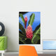 Pink Torch Ginger Flowers Wall Mural