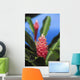 Pink Torch Ginger Flowers Wall Mural