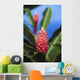 Pink Torch Ginger Flowers Wall Mural