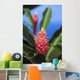 Pink Torch Ginger Flowers Wall Mural
