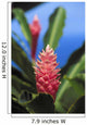 Pink Torch Ginger Flowers Wall Mural