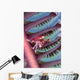 Malaysia, Mabul Island, Porcelain Crab, Pictured On The Seapen Wall Mural