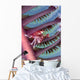 Malaysia, Mabul Island, Porcelain Crab, Pictured On The Seapen Wall Mural