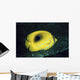 Indonesia, Bennett's Butterflyfish Wall Mural