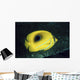 Indonesia, Bennett's Butterflyfish Wall Mural