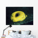 Indonesia, Bennett's Butterflyfish Wall Mural
