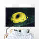 Indonesia, Bennett's Butterflyfish Wall Mural