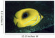 Indonesia, Bennett's Butterflyfish Wall Mural