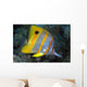 The Beaked or Copper-Banded Butterflyfish Wall Mural