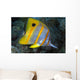 The Beaked or Copper-Banded Butterflyfish Wall Mural