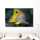The Beaked or Copper-Banded Butterflyfish Wall Mural