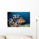 Australia, The Harlequin Tusk Fish, Choerodon Fasciatus, Wrasse Family Wall Mural