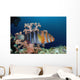 Australia, The Harlequin Tusk Fish, Choerodon Fasciatus, Wrasse Family Wall Mural